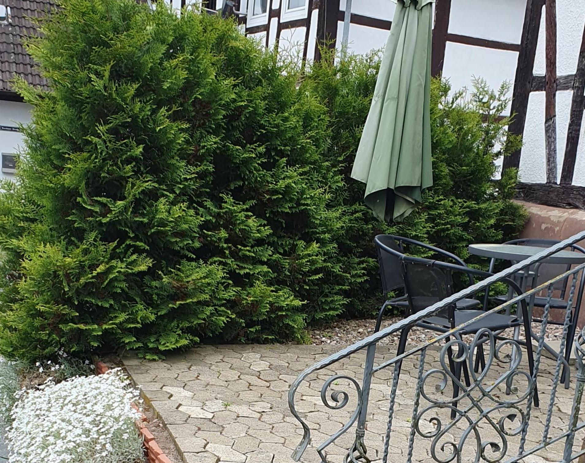 Apartaments Am Schloss Bevern  Exteriör bild