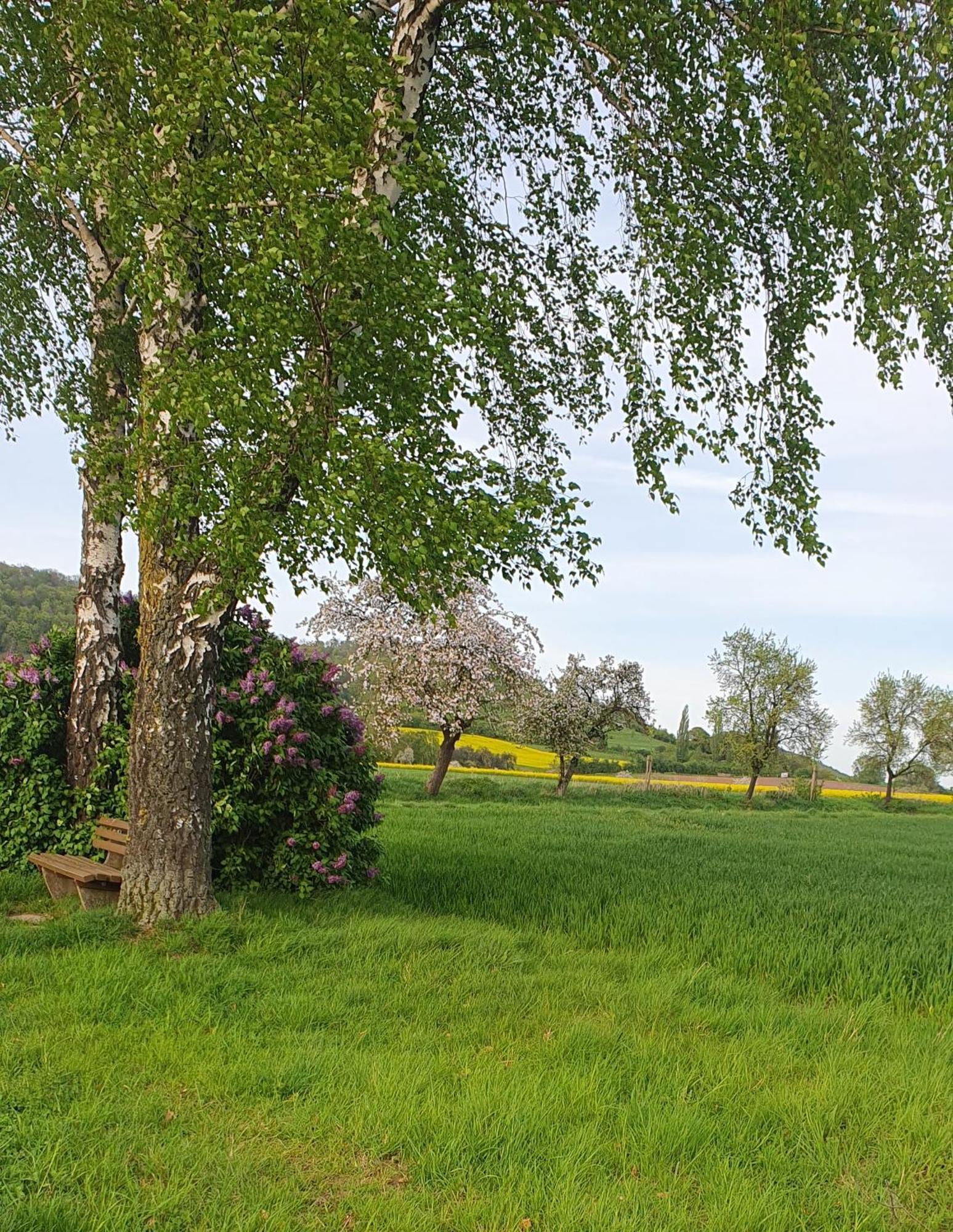 Apartaments Am Schloss Bevern  Exteriör bild