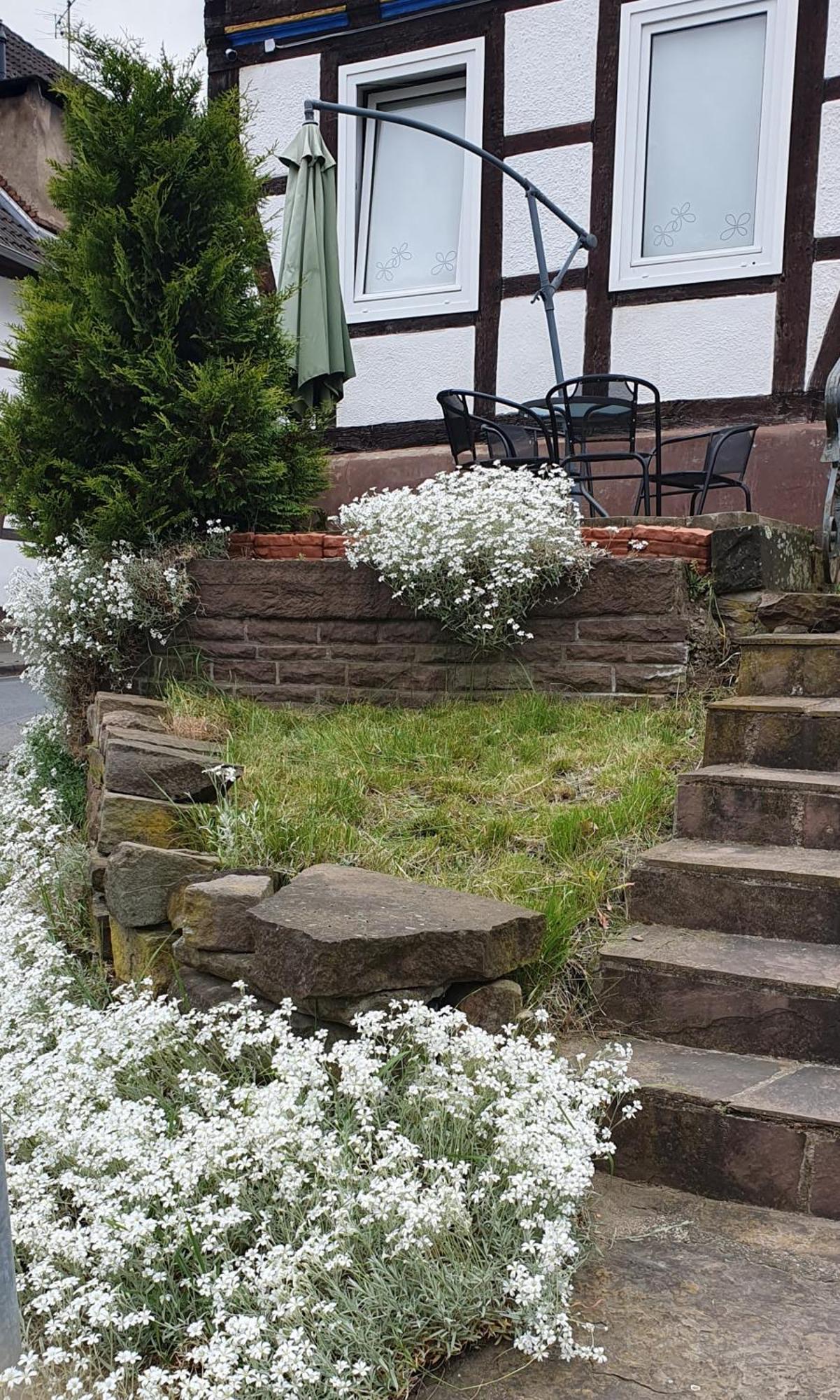 Apartaments Am Schloss Bevern  Exteriör bild